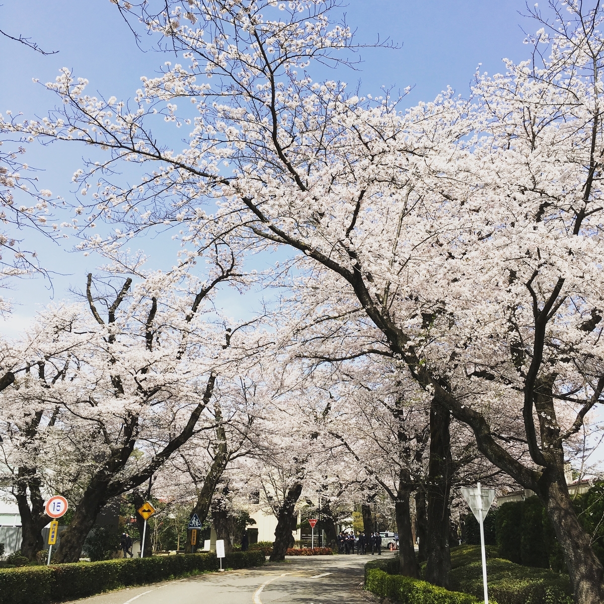 f:id:MATHBLACK:20190511192942j:plain f:id:MATHBLACK:20190511192942j:plain