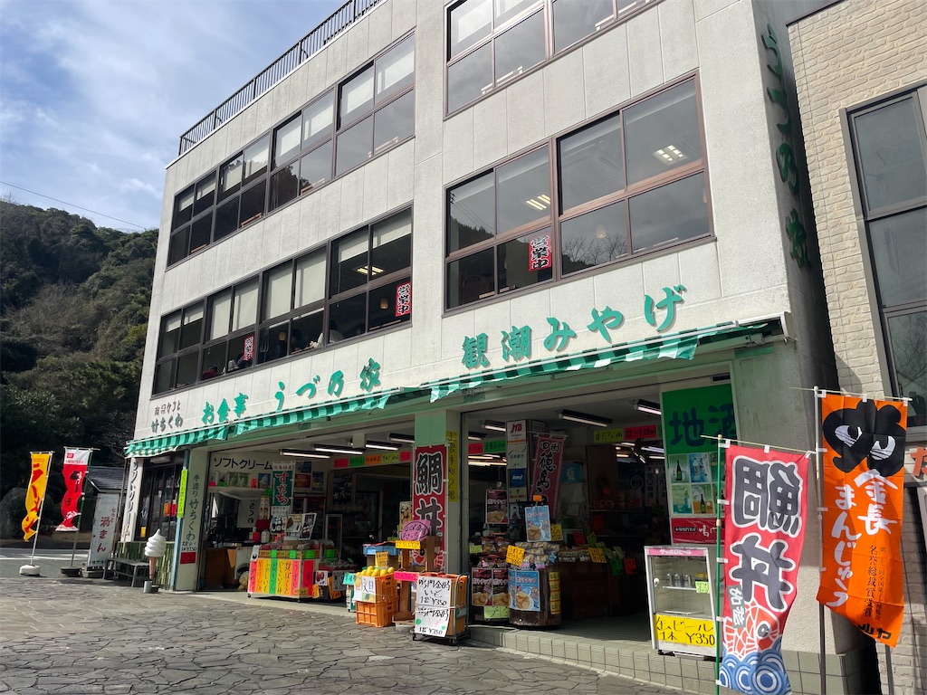 f:id:MAYAP:20240301123738j:image