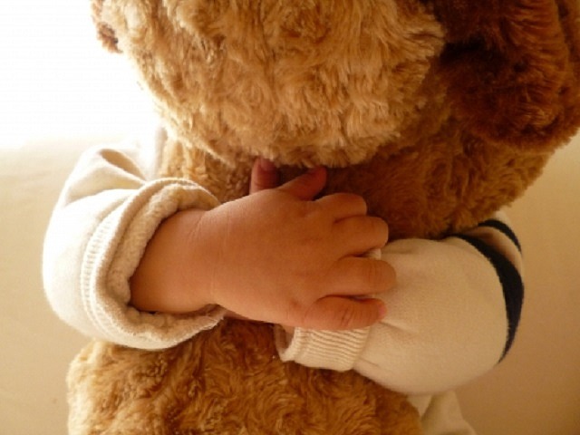 子どもが大好きなお気に入りの ぬいぐるみ をおうちで洗ってみませんか こどもだより 子どもが大好きなお気に入りの ぬいぐるみ をおうちで洗ってみませんか こどもだより