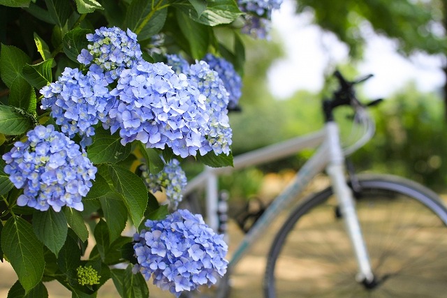 雨の日 保育所 幼稚園への自転車の送迎は交通ルールを守って安全第一に こどもだより 雨の日 保育所 幼稚園への自転車の送迎は交通ルールを守って安全第一に こどもだより