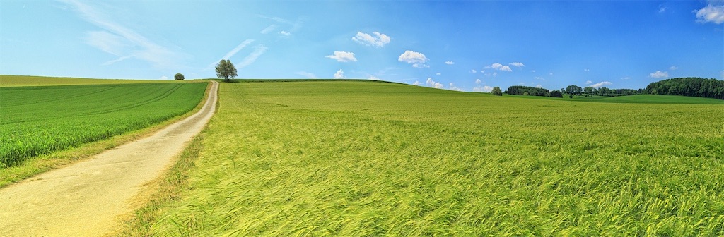 f:id:MBOY:20200521181330j:image f:id:MBOY:20200521181330j:image