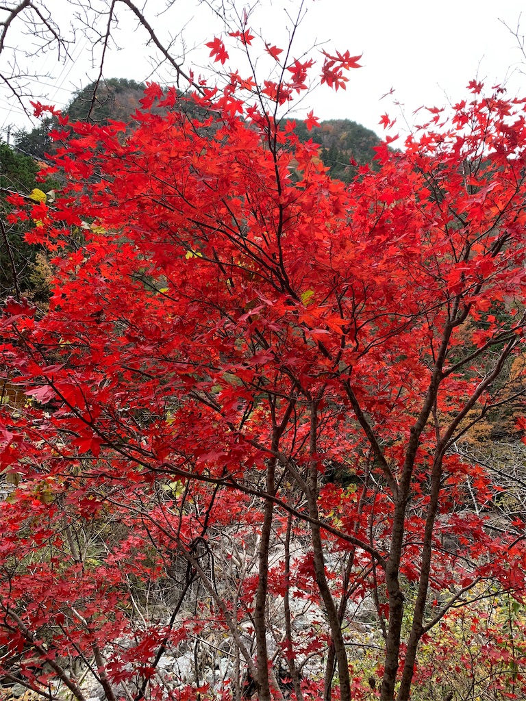 秋の紅葉 天川村の みたらい渓谷 は素晴らしい景色だった 登山 行蔵のブログ