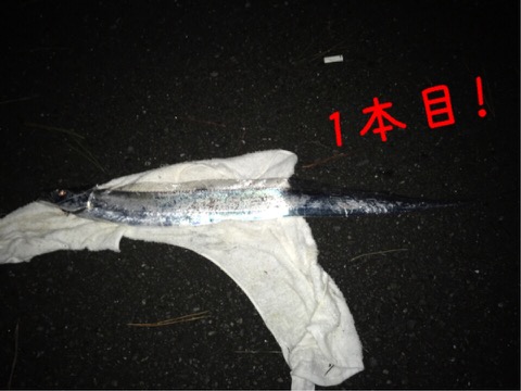 イメージ 4