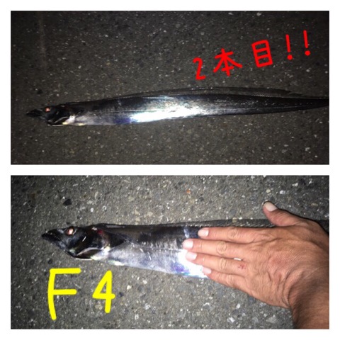 イメージ 5