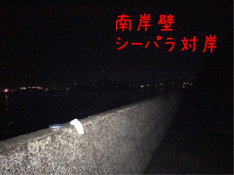 イメージ 6