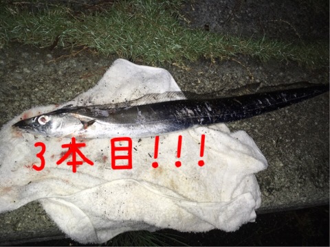 イメージ 7