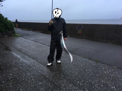 イメージ 5