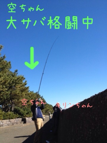 イメージ 6