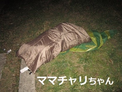 イメージ 6