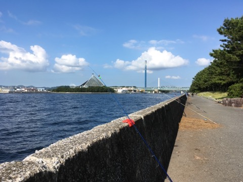 イメージ 5