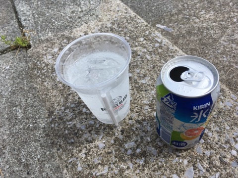 イメージ 6