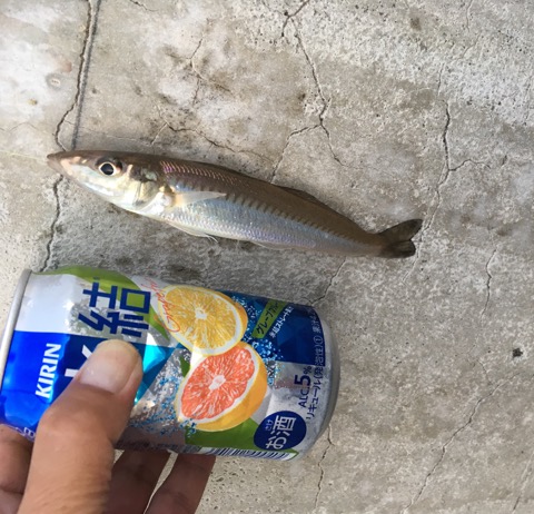 イメージ 5