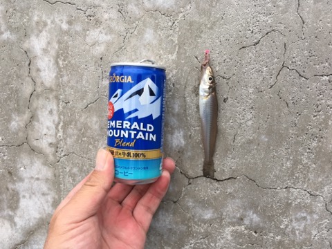 イメージ 7