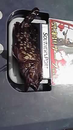 イメージ 4