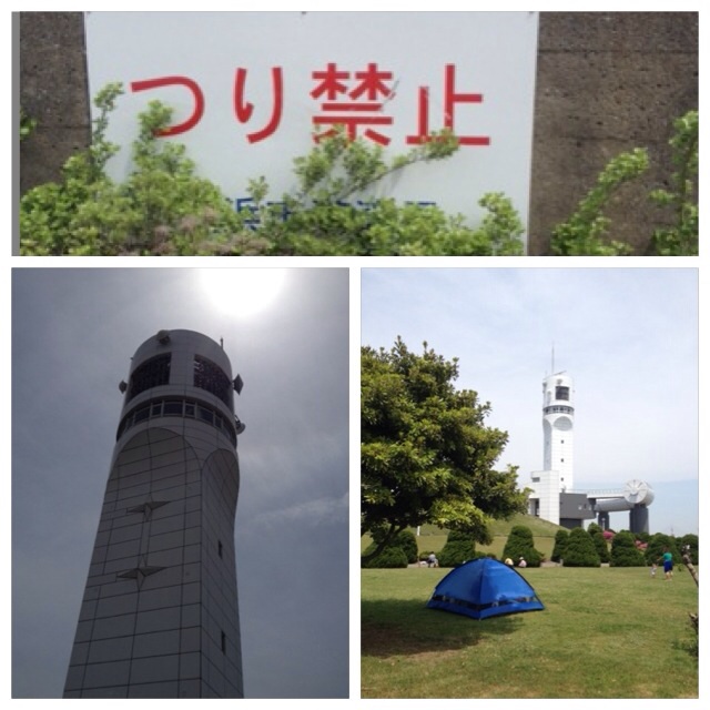 イメージ 6