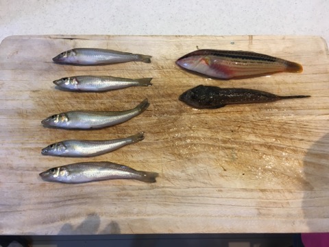 イメージ 6