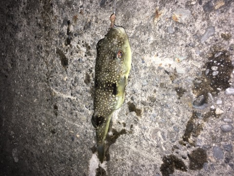 イメージ 3