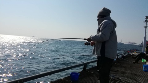 本牧海づり施設の釣り場・ポイント ...