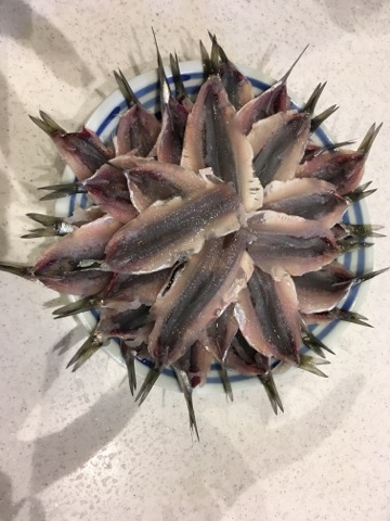 イメージ 7