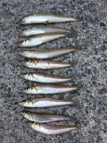 イメージ 6