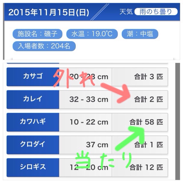 イメージ 12