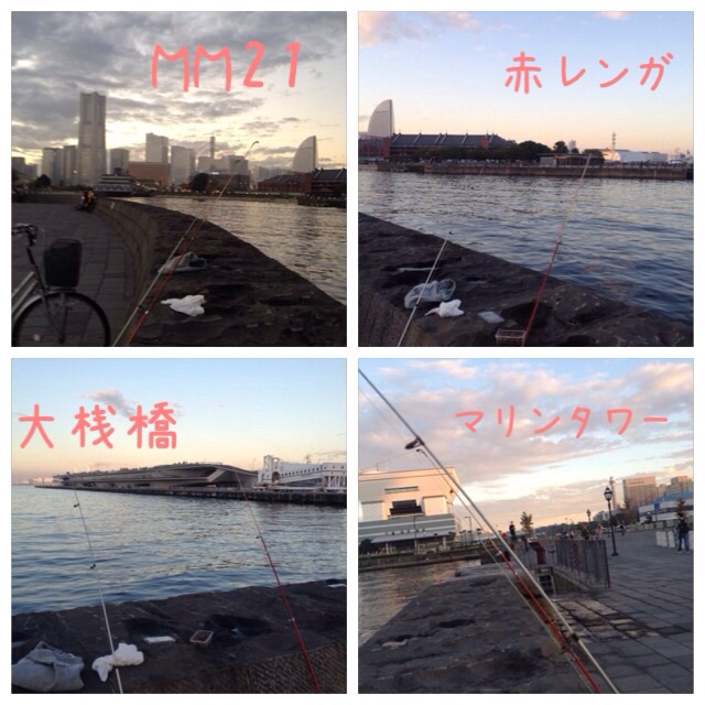 イメージ 7
