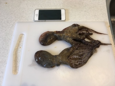 イメージ 6