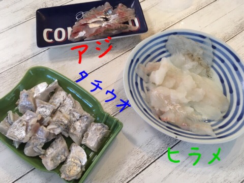 イメージ 7