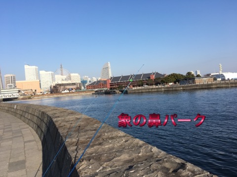 イメージ 4