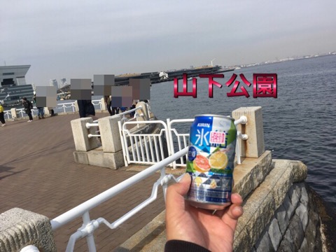 イメージ 5