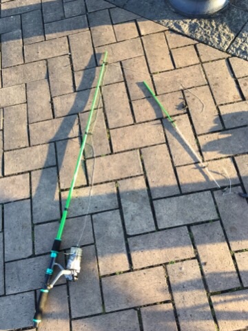 イメージ 7