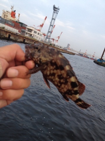 イメージ 7