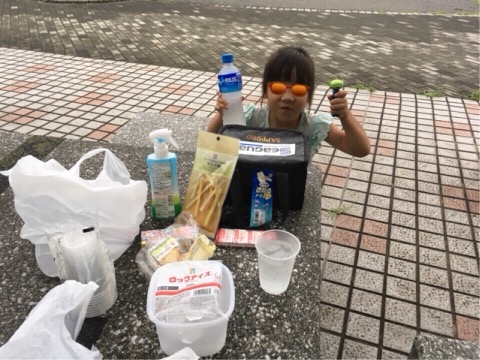 f:id:MCmamachari:20190702195532j:plain