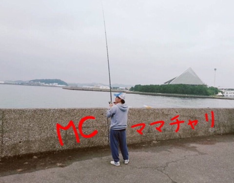 f:id:MCmamachari:20190716231041j:plain