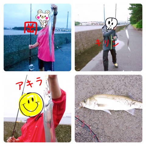f:id:MCmamachari:20190718233926j:plain
