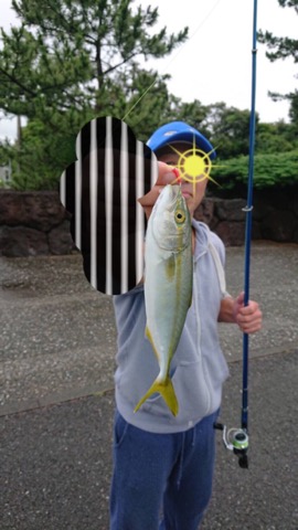 f:id:MCmamachari:20190718234048j:plain