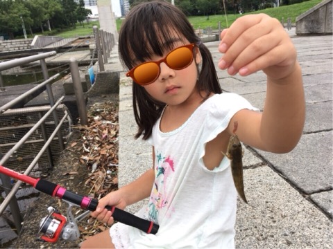 f:id:MCmamachari:20190724142022j:plain