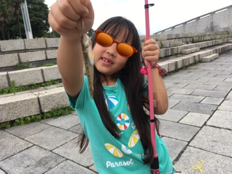 f:id:MCmamachari:20190724142046j:plain