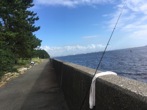 f:id:MCmamachari:20190911151910j:plain