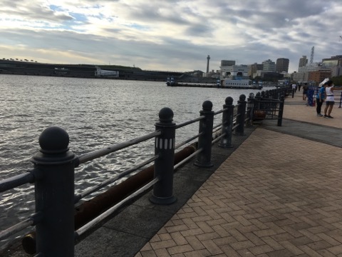 f:id:MCmamachari:20190916215048j:plain f:id:MCmamachari:20190916215048j:plain