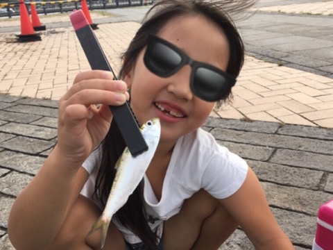f:id:MCmamachari:20190918193725j:plain