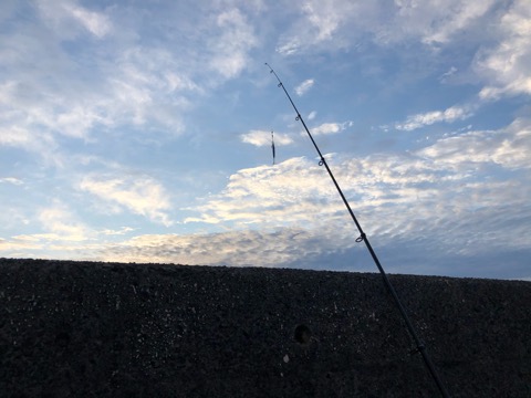 f:id:MCmamachari:20191028154632j:plain