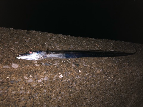 f:id:MCmamachari:20191105082821j:plain f:id:MCmamachari:20191105082821j:plain