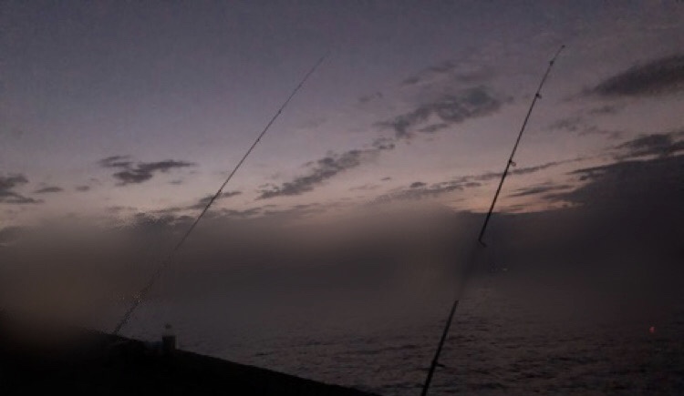 f:id:MCmamachari:20191107124606j:plain f:id:MCmamachari:20191107124606j:plain