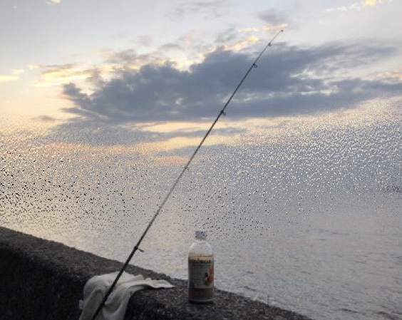 f:id:MCmamachari:20191107124623j:plain f:id:MCmamachari:20191107124623j:plain