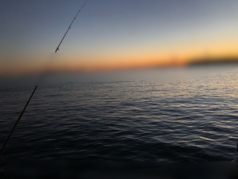 f:id:MCmamachari:20191119135410j:plain