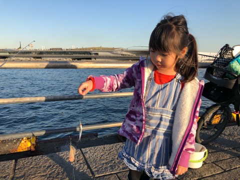 f:id:MCmamachari:20191202123450j:plain