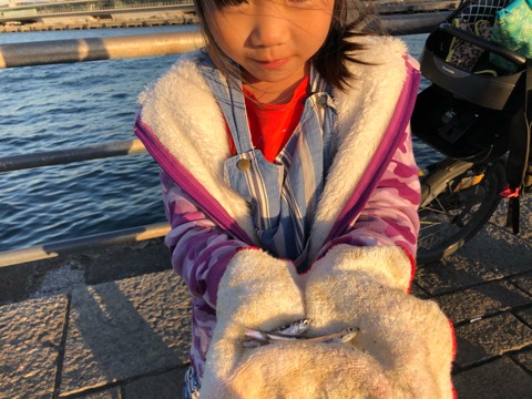 f:id:MCmamachari:20191202123747j:plain