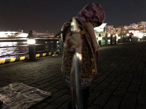 f:id:MCmamachari:20191202130709j:plain