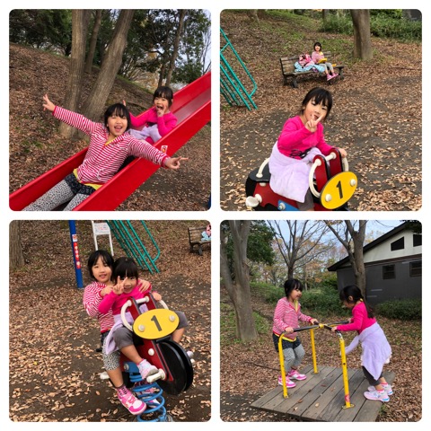 f:id:MCmamachari:20191202194822j:plain
